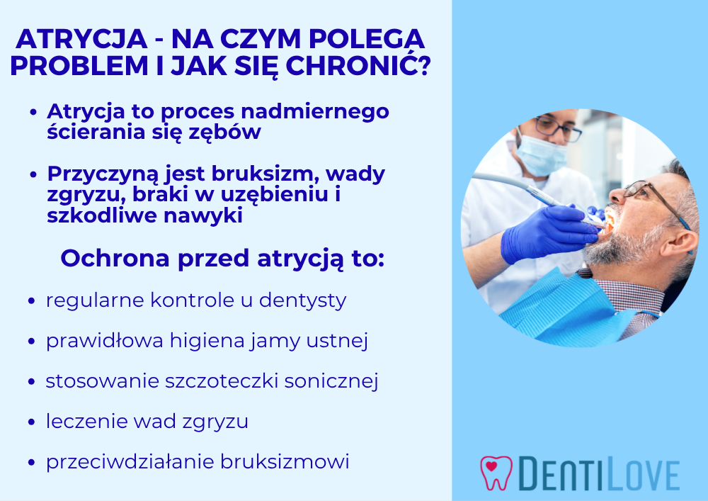 Atrycja - infografika