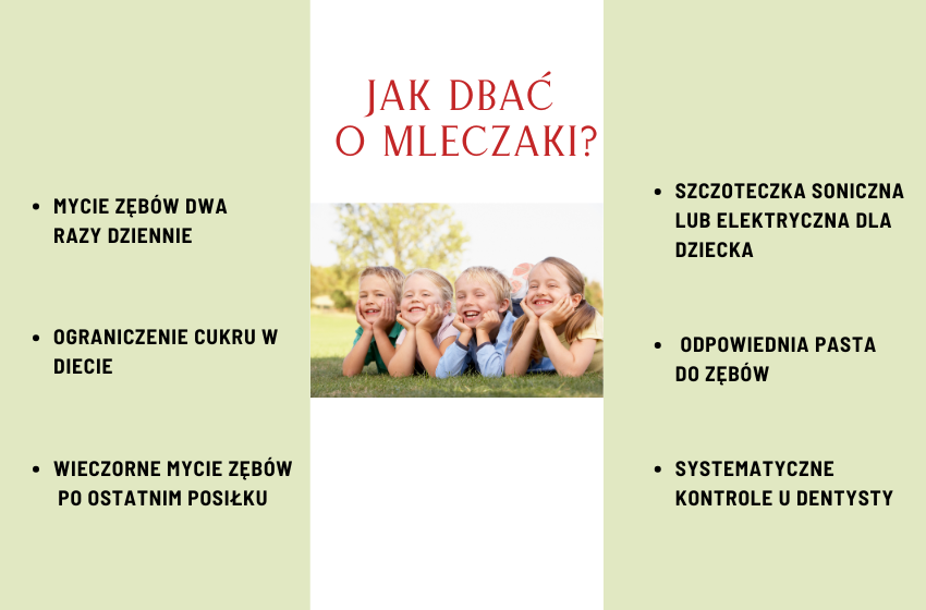korzenie mleczaków